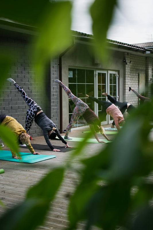 woman doing exercise routine
