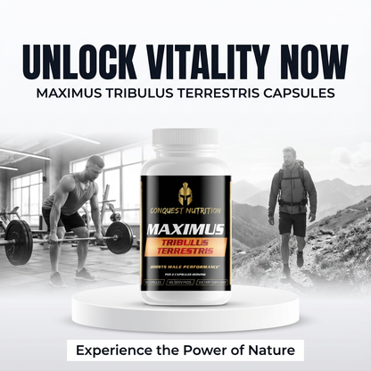 Maximus Tribulus Terrestris capsules with fitness-themed background