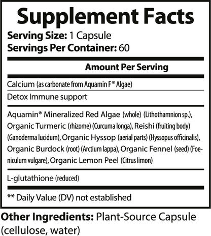 Glutathione Antioxident Complex - 60 Veggie Capsules
