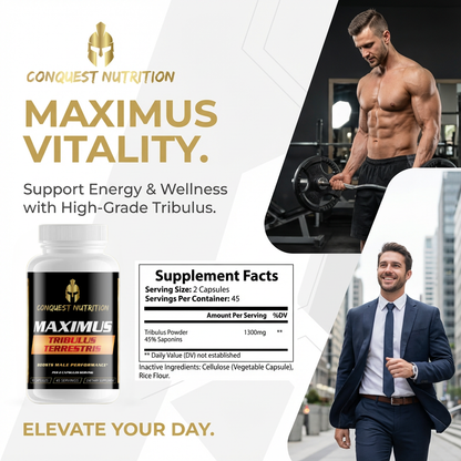 Advertisement for Conquest Nutrition Maximus Vitality supplement with a man lifting weights and another in a suit.