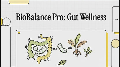 Bio Balance Pro Probiotic - 40 Billion CFU | 60 Veggie Capsules for Digestive Health