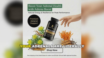 Adrena Boost Adrenal Support Complex - 60 Veggie Capsules for Energy and Wellness