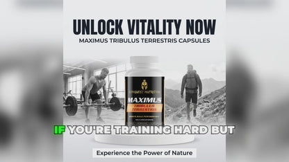 Maximus Tribulus Terrestris Capsules - 90 Veggie Capsules for Enhanced Vitality