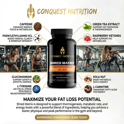 Conquest Nutrition Shred Matrix supplement bottle with gym background and product features.