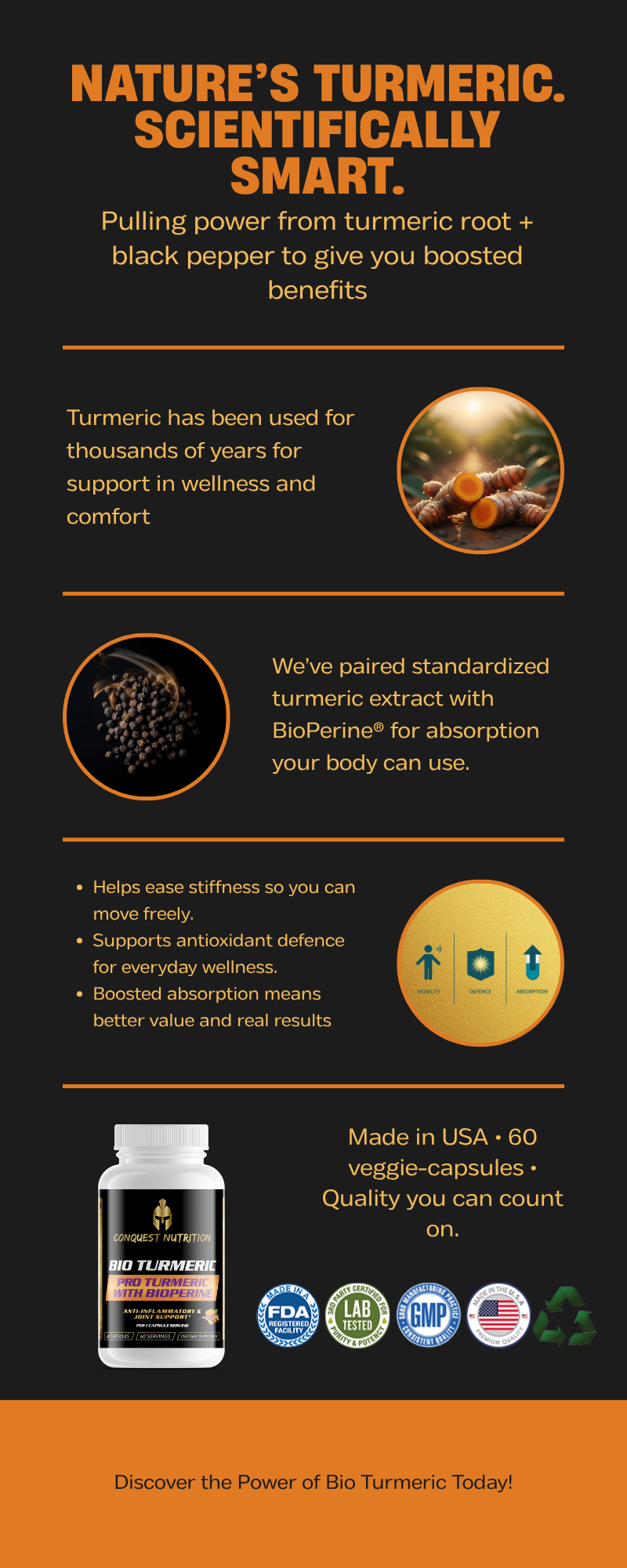 Bio Turmeric Pro with BioPerine - 60 Veggie Capsules for Enhanced Absorption